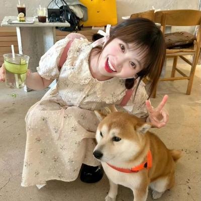 我的英雄学院第七季