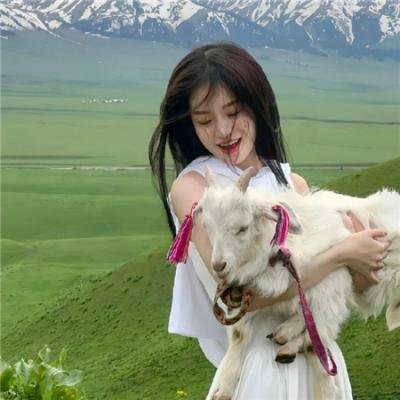 纸房子:全球热潮