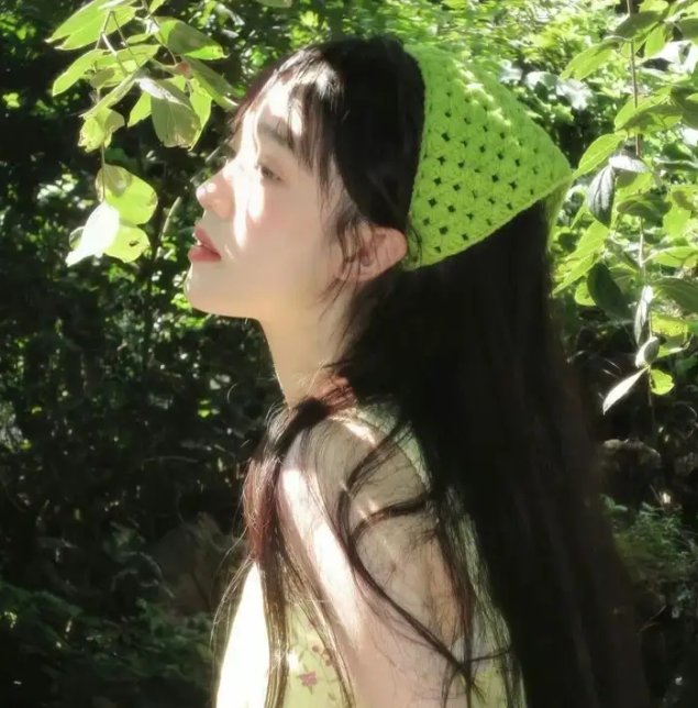 复仇2008